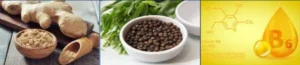 Bevital Slim PM Ingredients