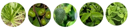 Ultra Prosta Care Ingredients